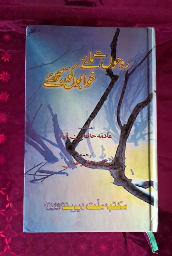 Roohu Se Milye Khawabu Ko Samjhe (MMD)
